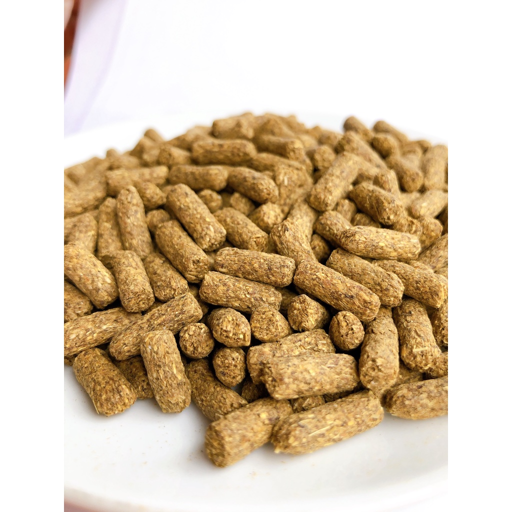 Thức Ăn Rùa Cạn Mazuri 5E5L 100gr  FREE SHIP  Rùa Cạn Mazuri 5E5L CHÍNH HÃNG Dành Cho Rùa Cạn, Bò Sát