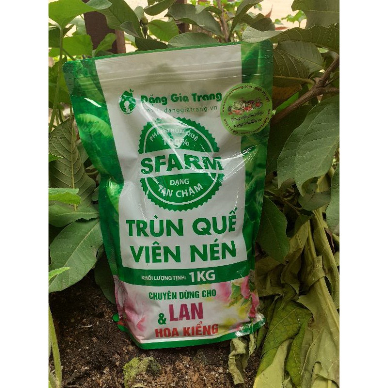 Phân Trùn Quế Viên Nén, Sfarm Đặng Gia Trang Tan Chậm Gói 1 kg Kích Chồi, Tạo Rễ, Hệ Vi Sinh Có Lợi cho Lan, Cây, Hoa