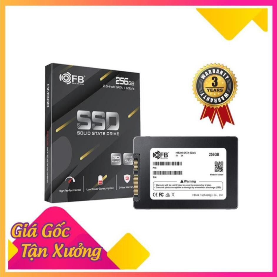 [Tổng Kho - Giá Sập Sàn] Ổ Cứng SSD 256GB FB-LINK HM300 - Chính hãng 1 đổi 1 I Bảo hành 36 Tháng