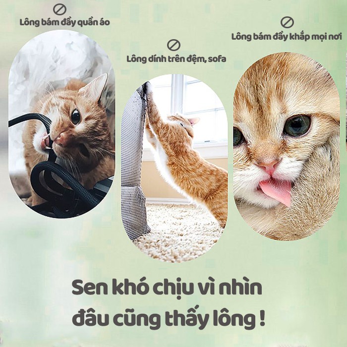 Cây lăn lông chó mèo - Lăn tĩnh điện hút lông thú cưng làm sạch giường chăn đệm - Hery Pet