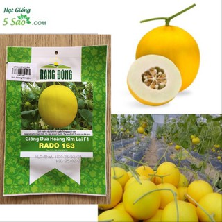 Giống Dưa Hoàng Kim Lai F1 RaDo 163 ( 5 hạt)