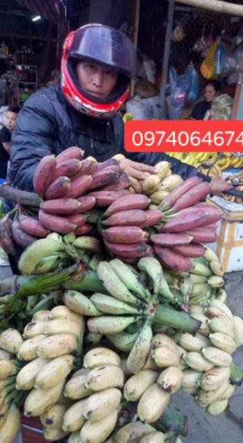 Chuối hột rừng tươi tây bắc