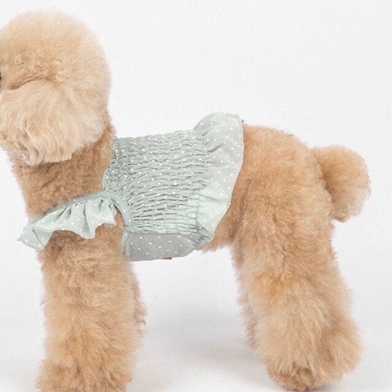 Áo tay bèo hoạ tiết chấm bi - Quần áo thời trang cho thú cưng