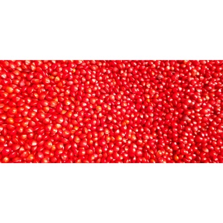 1kg Hạt cẩm lai đỏ