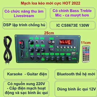 Mạch loa kéo cs8673e 130w, thu âm livestream, dsp lập trình chống hú có chỉnh bass treble micro, nguồn xung 220v