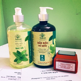 Combo Dầu gội Bạc Hà và Dầu gội Bưởi cao cấp Amegreen trị gàu và rụng tóc