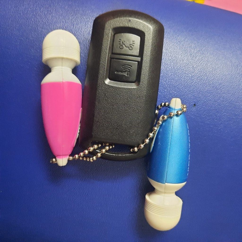 (HCM) Móc khóa RUNG cho các loại xe.đã có pin+ tặng thêm pin dùng 1 lần .