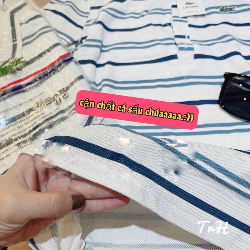 ÁO POLO KẺ LA.COS.TE NỮ HÀNG THIẾT KẾ