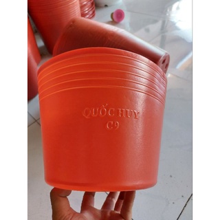 combo 100 chậu c9 đỏ liên an