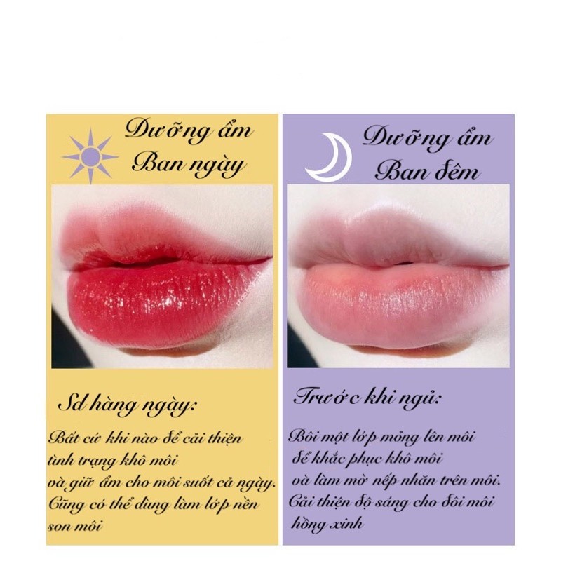 Mặt nạ ngủ cho môi hũ ong dưỡng ẩm, phục hồi, làm mờ nếp nhăn trên môi, tẩy da chết, chống khô môi. | BigBuy360 - bigbuy360.vn