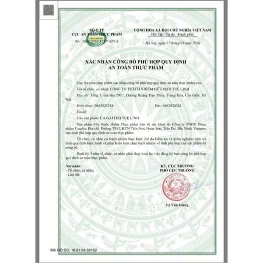 Giải Độc Gan Tuệ Linh Từ Cà Gai Leo