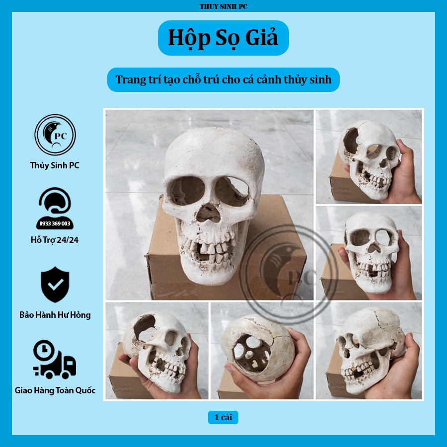 Mô hình hộp sọ trang trí hồ cá cảnh thủy sinh
