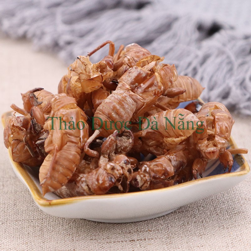 Xác Ve ( Thuyền Thoái, Trùng Thối) khô sạch không lẫn đất cát 100 gram.
