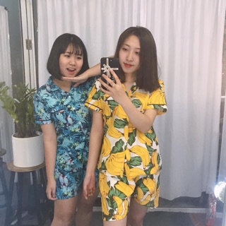 Đồ bộ hoa quả