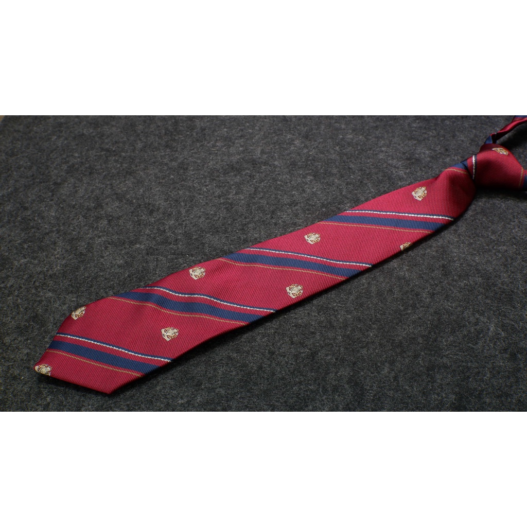 Cà Vạt Thắt Sẵn Dành Cho Học Sinh Nam Nữ - Cực Đẹp