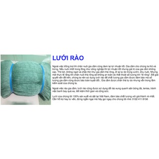 LƯỚI RÀO Gà Vịt