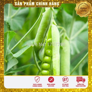 Hạt Giống Đậu Hà Lan(50gr)