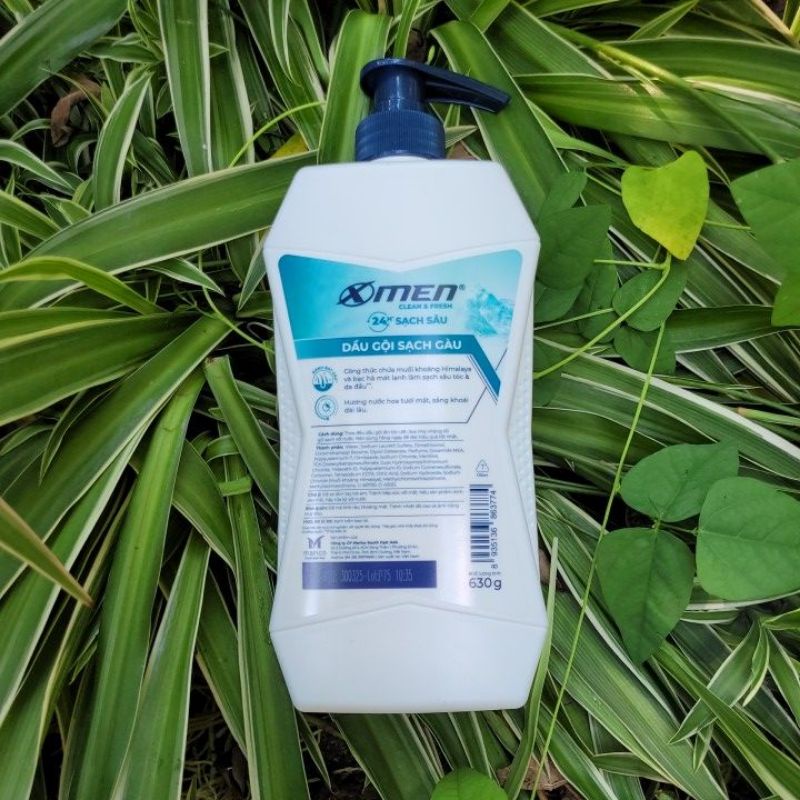 Dầu gội Sạch Gàu XMen Clean & Fresh 24h Sạch Sâu 630g