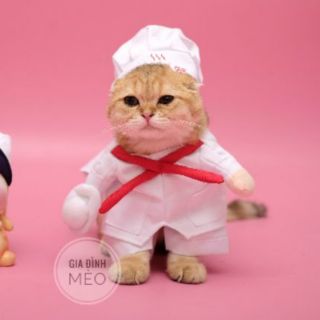 Áo chó mèo cosplay đầu bếp A60