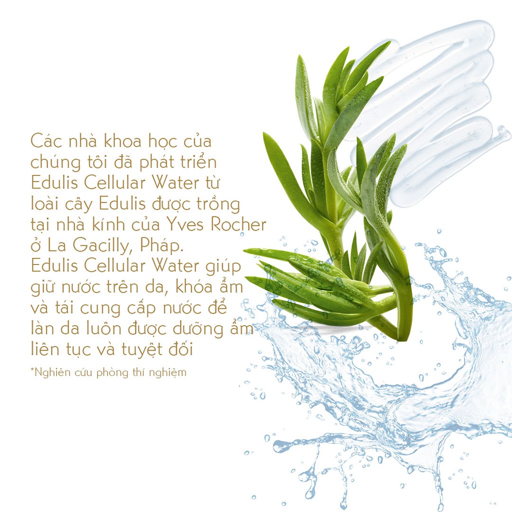 Gel Rửa Mặt Cấp Ẩm Yves Rocher Ultra Fresh Cleansing Gel 125ml | BigBuy360 - bigbuy360.vn