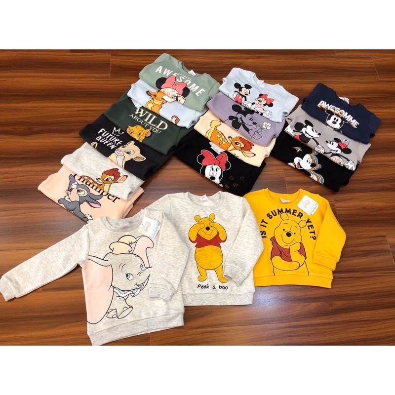 Áo nỉ hãng Fox Disney Baby xuất dư bên trong lót bông cho bé trai bé gái từ 3 tháng đến 5 tuổi