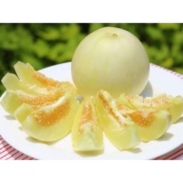 Hạt Giống Dưa Lê - Dưa Lê Thái Lan Siêu Trái - gói 2gr/50-60hạt