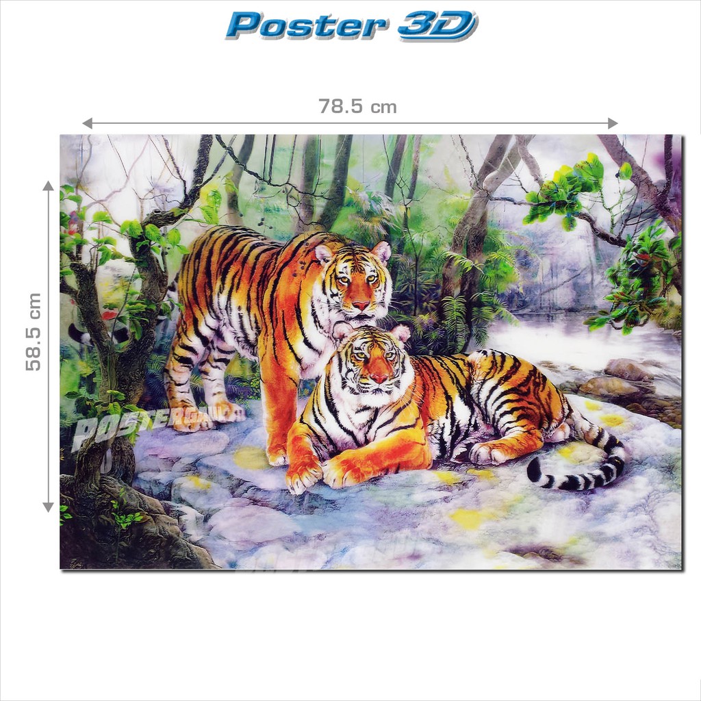 Áp Phích Hình Hai Con Hổ 3d 78.5x58.5cm Bengala 3dj + 52-58.5cm