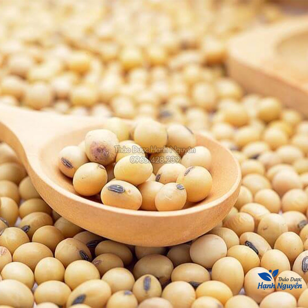 Hạt đậu nành 100g (Đỗ tương, giống thuần chủng không biến đổi gen, dùng làm sữa hạt, tàu hũ) - Thảo Dược Hạnh Nguyên