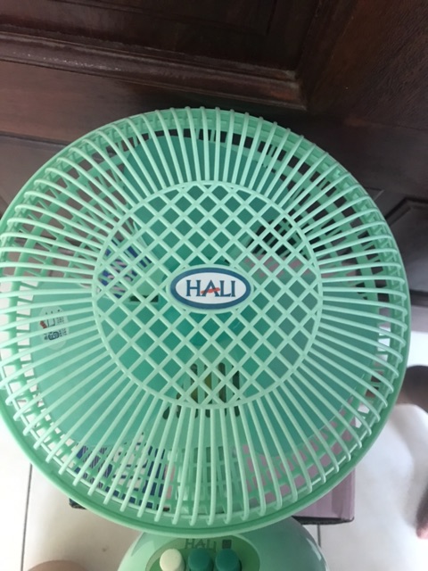 Quạt ngã tự động tắc Hali