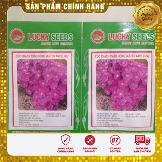 Hạt Giống Hoa Cúc Thạch Thảo( 50-100 hạt)