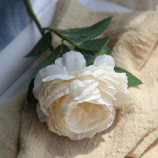 Bó hoa hồng bé