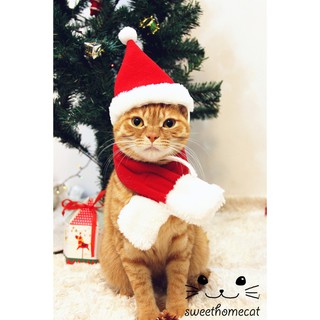 Mũ Noel & Khăn Quàng Cổ Giáng Sinh Cho Chó Mèo Nhỏ & Vừa - Xinh Xắn Dễ Thương