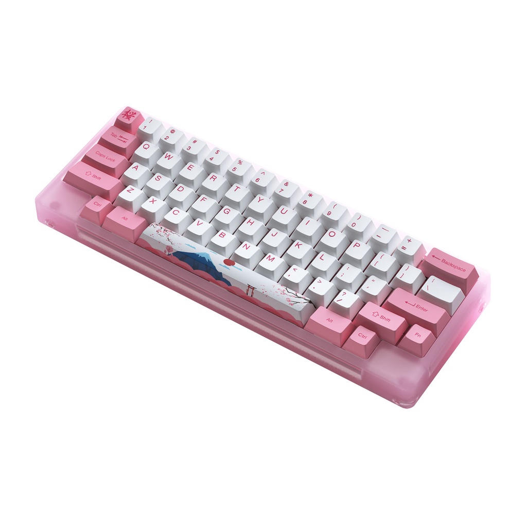 Bàn phím cơ AKKO ACR59 Pink (Hotswap / RGB / AKKO cs switch Jelly Pink)