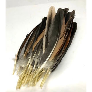 lông gà thông điếu 🤩FREESHIP🤩 lông gà sạch mượt