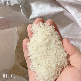 Gạo đài thơm tám 10kg