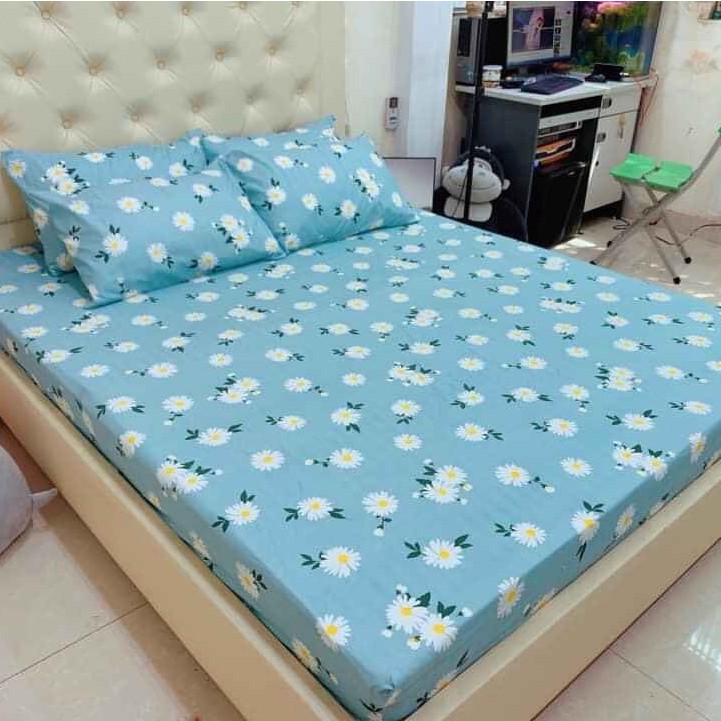 Bộ ga trải giường kèm vỏ gối poly cotton mẫu Hoa nhí xanh