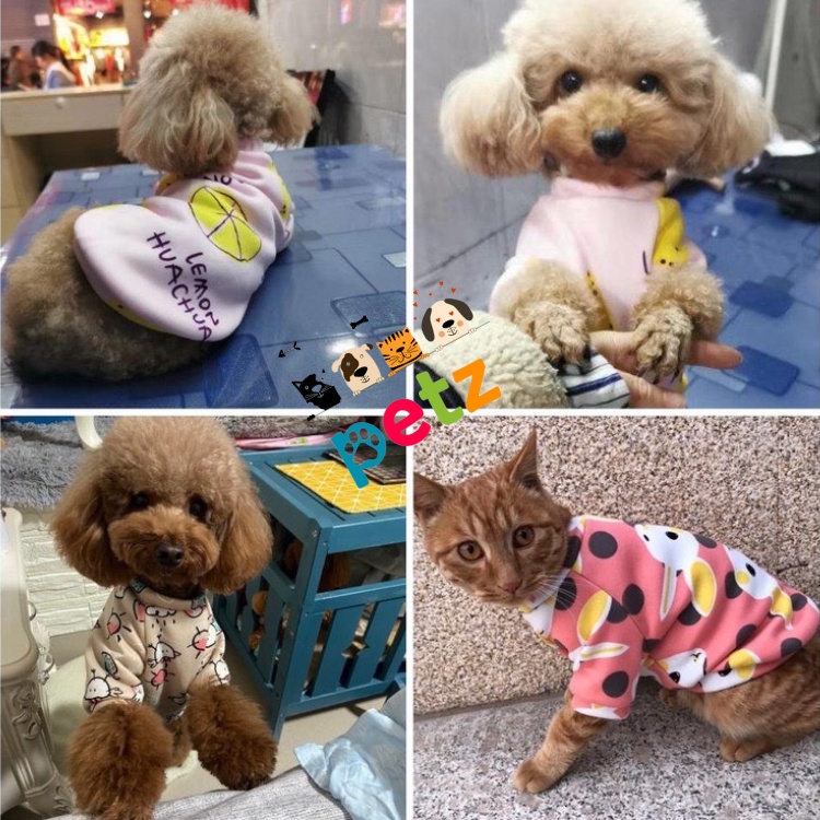 Áo chó mèo mùa đông họa tiết hoạt hình PETZ quần áo thú cưng ấm áp, thời trang cho chó mèo