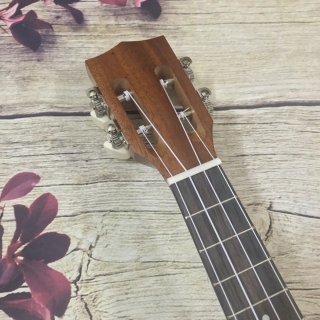 (ĐỘC) ĐÀN UKULELE CONCERT ENYA CẦN CLASSIC