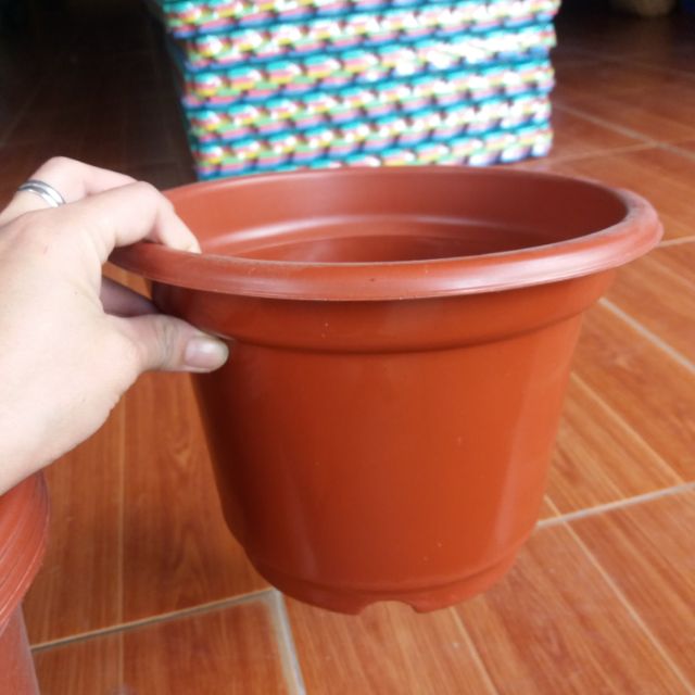 chậu trồng hoa siêu Hót phi 24cm x16cm
