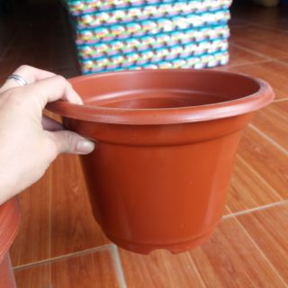 chậu trồng hoa siêu Hót phi 24cm x16cm