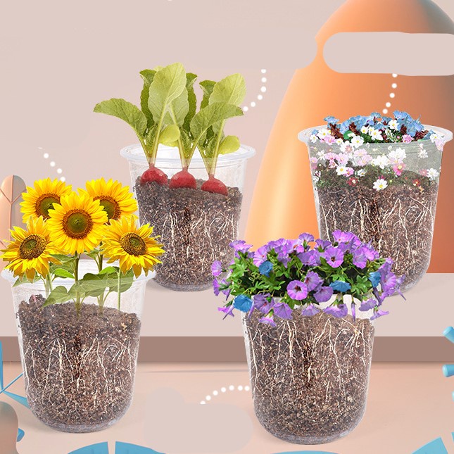 [Hàng sẵn] DIY trồng cây lắp ghép trang trí 3 in 1  cho bé , bộ thí nghiệm lắp ghép thủ công trồng cây cho bé