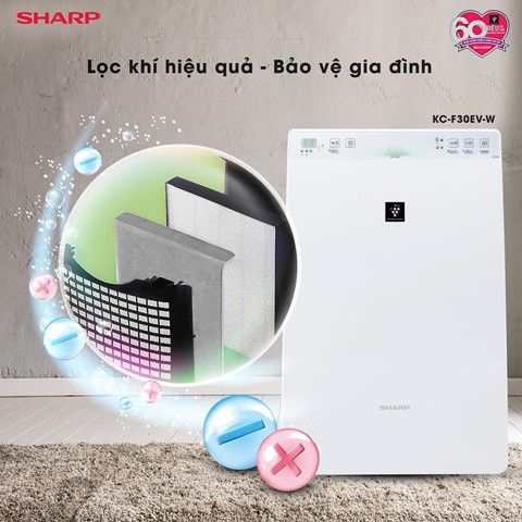 Màng lọc Hepa Sharp FZ-F30HFE( KC-F30EV-W/ FP-J30E ) - Hàng chính hãng