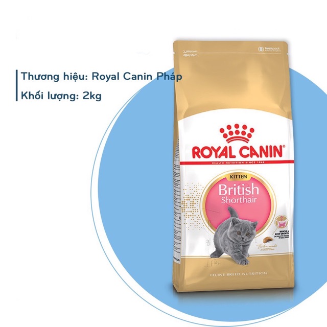 Thức Ăn Hạt Royal Canin British Shorthair Kitten 2Kg cho mèo Anh Lông Ngắn