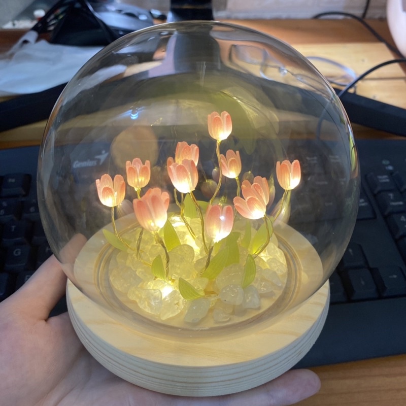 Bộ nguyên liệu tự làm đèn hoa tulip trang trí