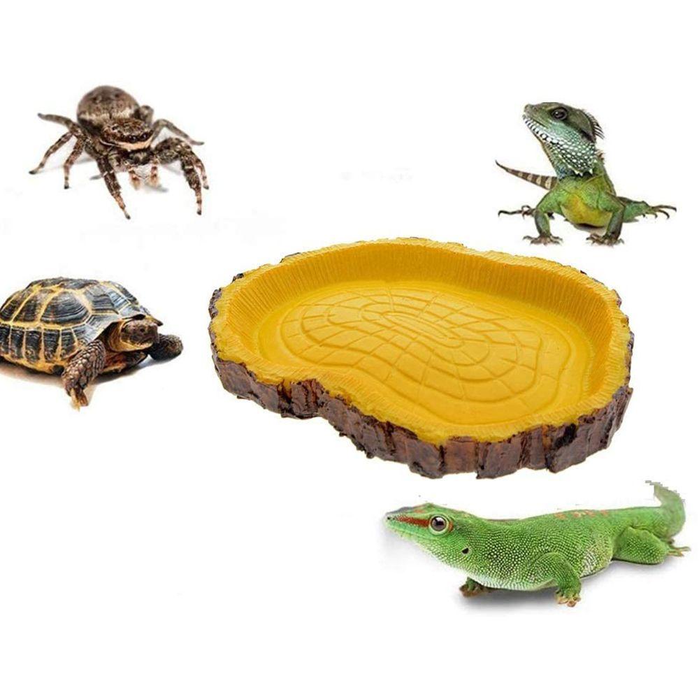 LAYOR1 Snake Feeder Durable Reptile Tortoise Feeding Bowl