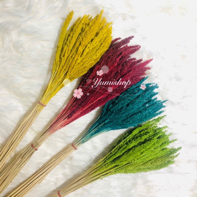 Bó Cỏ Lúa Mì Khô Nhuộm Màu Vintage Hoa Khô Cắm Trang Trí