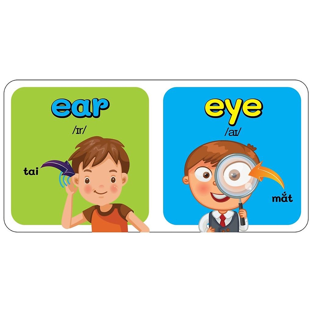 Sách - Baby'S First Picture Dictionary - Từ Điển Bằng Hình Đầu Tiên Của Bé - My Body - Cơ Thể (Bìa Cứng