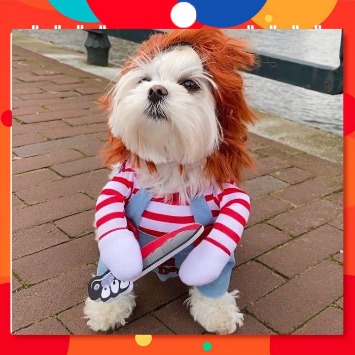 Quần áo thú cưng, Quần áo cho chó mèo hình killer boy, siêu ngộ nghĩnh