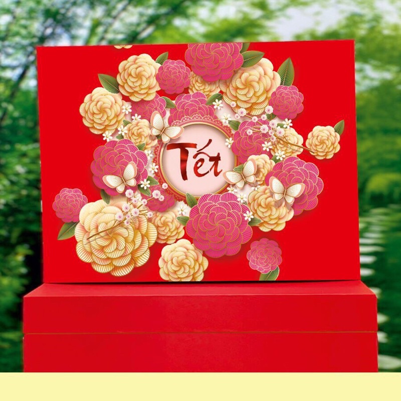 HỘP QUÀ TẾT  - NẮP  ÂM DƯƠNG  - KÈM  TÚI XÁCH :kt 36x28x10cm( giá tận xưởng, nhận in logo)