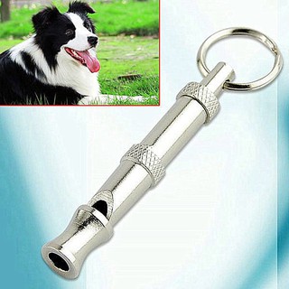 Còi tạo âm thanh dùng để huấn luyện thú cưng